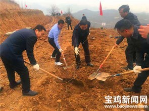 春暖植树正当时 渭滨区种下万余株 扶贫苗