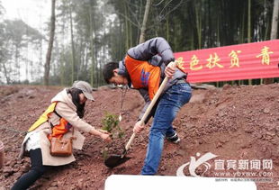 种下一片经济林 青年志愿者开展植树扶贫活动