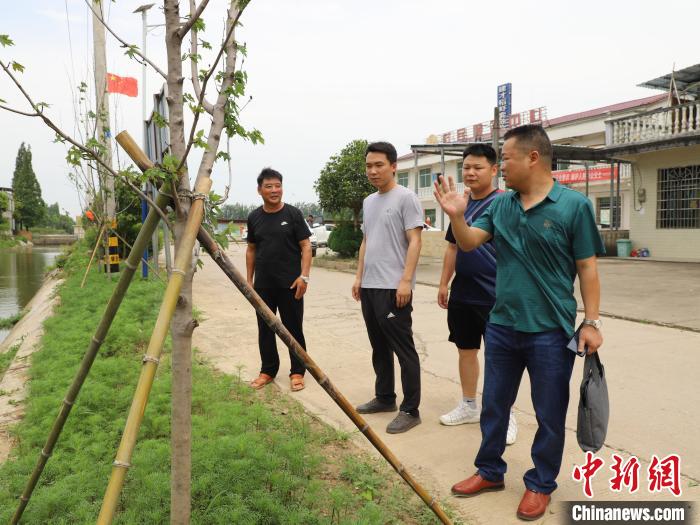 耕地林苗转移沟港路边 湖南大通湖美了村庄富了集体