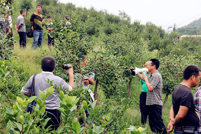 花垣县移民局经济林苗繁育种植示范基地(辅园一)