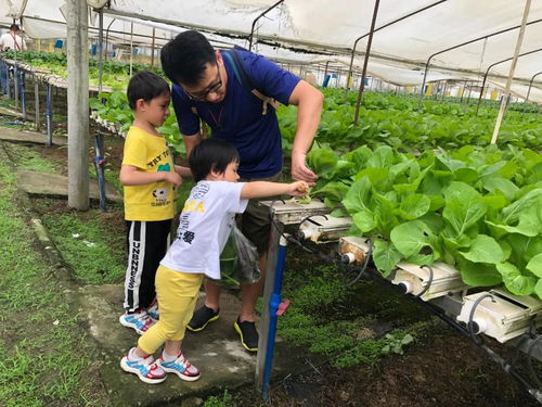 重磅 教育部发文 将组织召开全国中小学劳动教育现场推进会