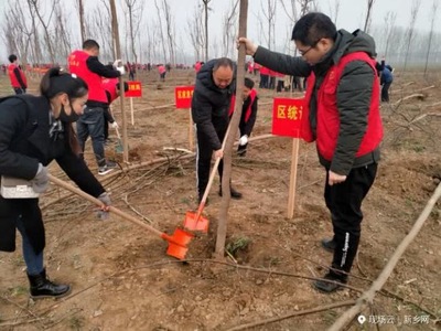 新乡掀起植树高潮,共造林18.54万亩