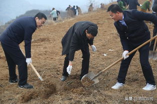 渭滨 干群栽下 扶贫苗