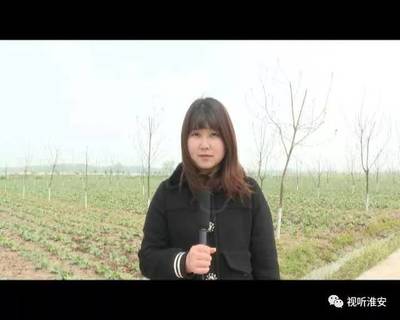 钦工镇宋集村:发展林下经济 开拓产业富民新路径